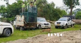 Leopard: নিরাপদ বাসস্থানে ছাড়া হলো লোকালয় থেকে ধরা চিতাবাঘ