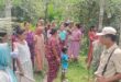 Alipurduar: বাধা পেয়েও কাঠ উদ্ধার বনকর্মী দের