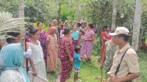 Alipurduar: বাধা পেয়েও কাঠ উদ্ধার বনকর্মী দের 