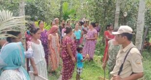 Alipurduar: বাধা পেয়েও কাঠ উদ্ধার বনকর্মী দের