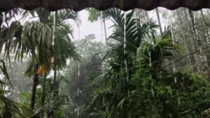 Alipurduar: লাগাতার বৃষ্টি ,জনজীবন বিপর্যস্ত আলিপুরদুয়ার জেলা জুড়ে