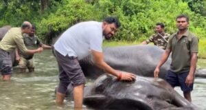 World Elephant Day : বিশ্ব হাতি দিবসে জলদাপাড়ায় কুনকি হাতিদের স্নান করালেন বন মন্ত্রী