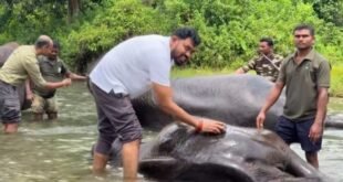 World Elephant Day : বিশ্ব হাতি দিবসে জলদাপাড়ায় কুনকি হাতিদের স্নান করালেন বন মন্ত্রী