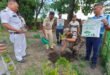 siliguri: শিলিগুড়ি পুলিশ কমিশনারেটের উদ্যোগে বৃক্ষরোপণ কর্মসূচি
